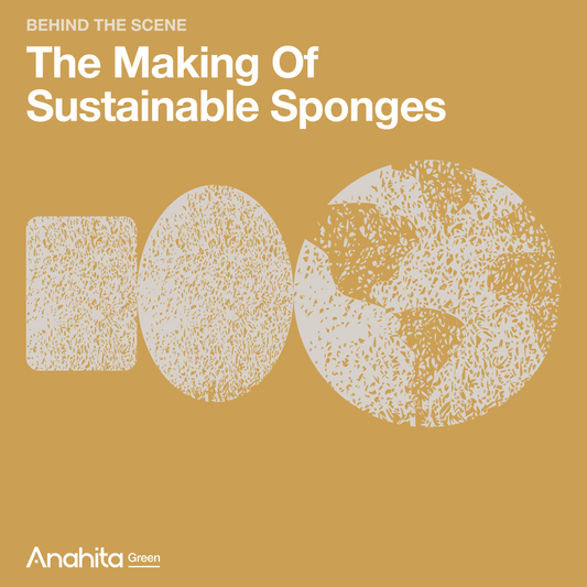 Behind the scenes: The Making of Sustainable Sponges
